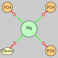 MgRNA type mer-3OP-OR     