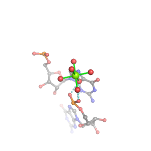 MgRNA representative site for type PO-BO          