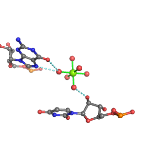 MgRNA representative site for type RO-BO          