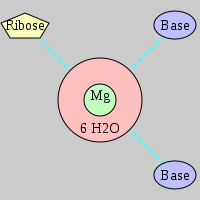 MgRNA type RO-2BO         