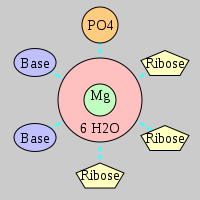 MgRNA type PO-3RO-2BO     
