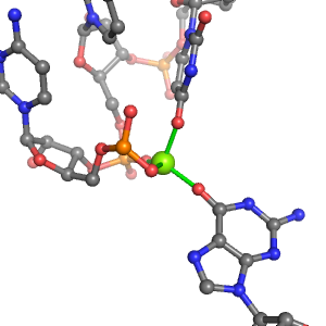 MgRNA representative site for type trans-2OP-2OB  