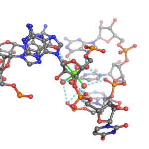 MgRNA representative site for type 4PO-3BO        
