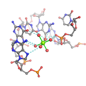 MgRNA representative site for type PO-RO-4BO      