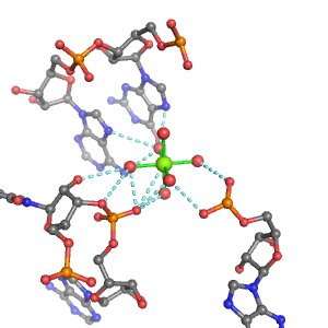 MgRNA representative site for type 2PO-RO-2BO     