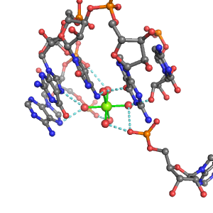 MgRNA representative site for type 3PO-RO-4BO     