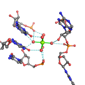 MgRNA representative site for type 3PO-2RO-2BO    