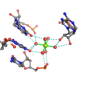 MgRNA representative site for type PO-2RO-2BO     