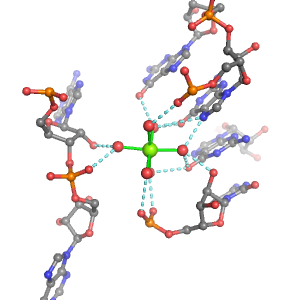MgRNA representative site for type 3PO-2RO-3BO    