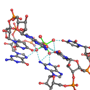 MgRNA representative site for type PO-6BO         