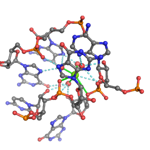 MgRNA representative site for type PO-3RO-2BO     