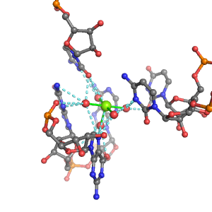 MgRNA representative site for type RO-6BO         