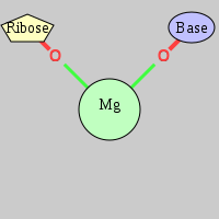 MgRNA type OR-OB          