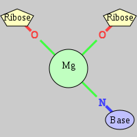 MgRNA type 2OR-NB         