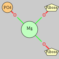 MgRNA type OP-2OR         