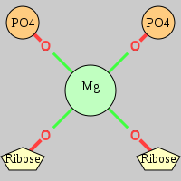 MgRNA type cis-2OP-2OR    