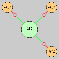 MgRNA type mer-3OP        