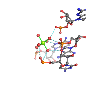 MgRNA representative site for type 4PO-2BO        