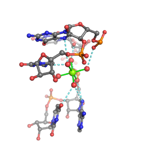 MgRNA representative site for type 2PO-RO-3BO     