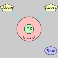 MgRNA type 2RO-BO         