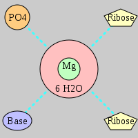 MgRNA type PO-2RO-BO      