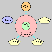 MgRNA type PO-3RO-BO      