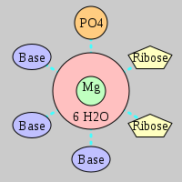 MgRNA type PO-2RO-3BO     