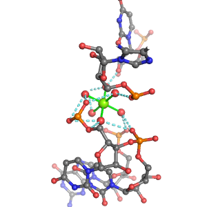MgRNA representative site for type 4PO-RO         