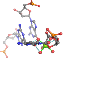 MgRNA representative site for type RO-3BO         