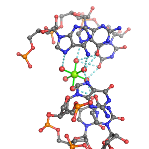MgRNA representative site for type 6BO            