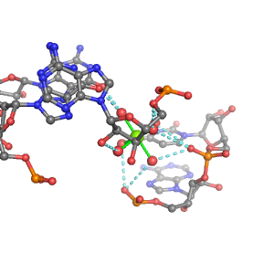MgRNA representative site for type 3PO-RO-3BO     