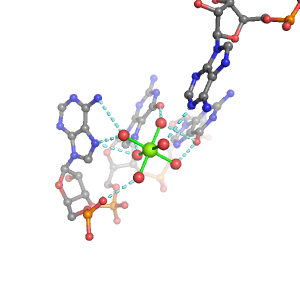 MgRNA representative site for type PO-4BO         