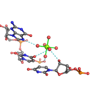 MgRNA representative site for type PO-RO-BO       