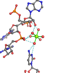MgRNA representative site for type 2PO-RO-BO      