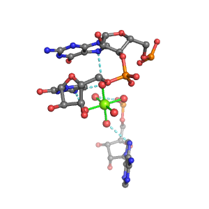 MgRNA representative site for type PO-3BO         