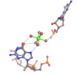 MgRNA representative site for type PO-2BO         