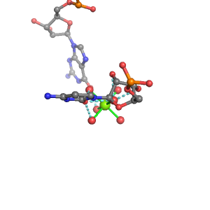 MgRNA representative site for type RO-2BO         