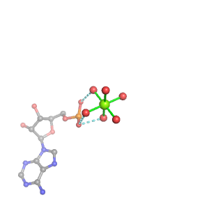 MgRNA representative site for type PO             