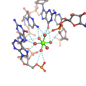 MgRNA representative site for type 2PO-RO-4BO     