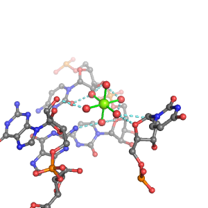 MgRNA representative site for type 4RO-2BO        