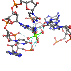 MgRNA representative site for type 2PO-RO-5BO     