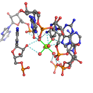 MgRNA representative site for type PO-2RO-3BO     