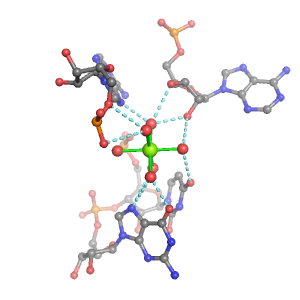 MgRNA representative site for type 2RO-3BO        