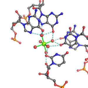 MgRNA representative site for type RO-5BO         