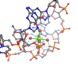 MgRNA representative site for type 4PO-RO-4BO     