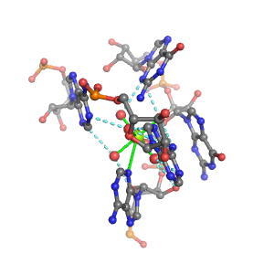 MgRNA representative site for type 4BO-2RO        