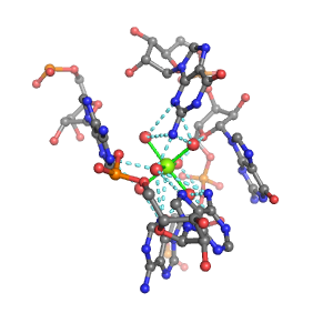 MgRNA representative site for type 2RO-5BO        