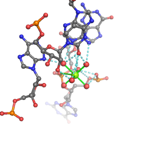 MgRNA representative site for type 2PO-2RO-3BO    