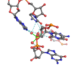 MgRNA representative site for type 3RO-4BO        