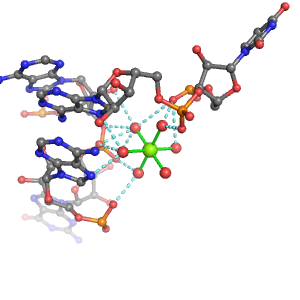 MgRNA representative site for type 4PO-RO-2BO     
